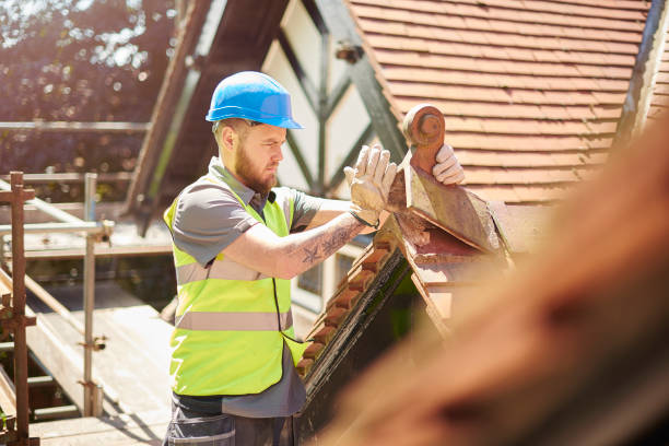 Best Roof Restoration Services  in Camn, DE